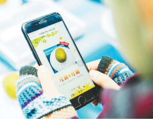 智慧大腦賦能民生 人工智能應(yīng)用軟件的開發(fā)與生活體驗(yàn)提升