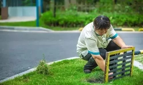 小區保潔服務規范 從基礎到優化的全流程指南